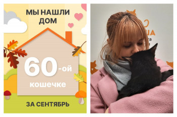 Кошечка Кларита нашла новый дом за два месяца!