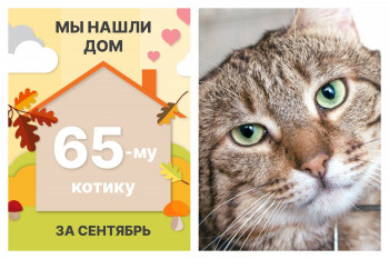Котик Кафтан обрел домашнее счастье!