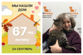 Котик Руфик получил второй шанс на домашнее счастье!