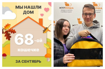Кошечка Бишка стала домашней и счастливой!