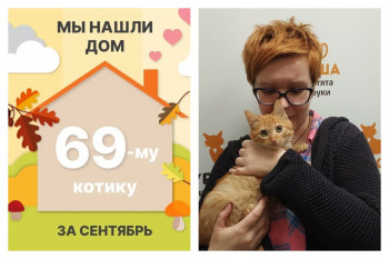 Котик Кипрей рад познакомить со своей хозяйкой!