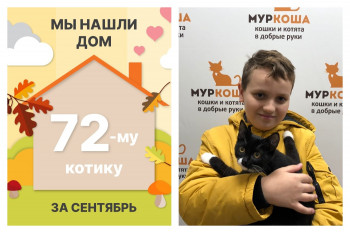 Котенок Том Ям стал домашним за полтора месяца!