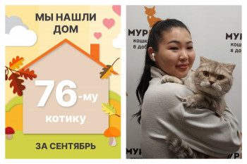 Очаровательный Лилуш начинает новую жизнь!