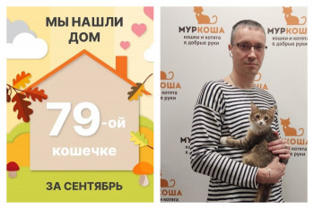 Кошечка Запеканка стала домашней любимицей!