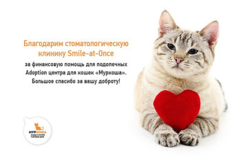 Спасибо от МУРКОШИ!