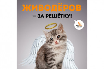 К сожалению, монстры реальны.
