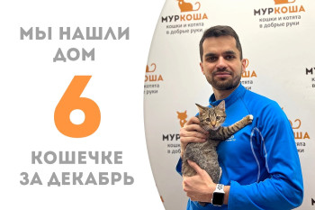 Малышка Акация встретила своего человека и уехала в счастливую жизнь, проведя два месяца в приюте! 