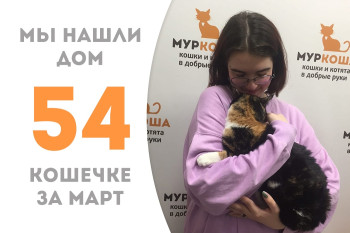 Особенная кошечка Альмерия стала домашней любимицей!