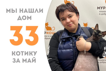 Котик Амон Ра нашёл новый дом за двенадцать дней! 