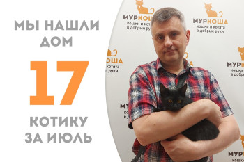Котёнок Аргус нашёл себе хозяина проведя в приюте полтора месяца! 