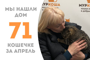 Кошечка Аркана познакомилась со своей хозяйкой! 