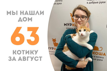 Годовалый котик Аштон стал домашним любимцем! 