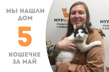 Годовалая Астрочка обрела своё счастье! 