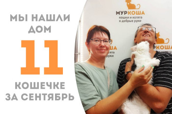 Кошечка Айви воспользовалась своим вторым шансом на счастье и покинула приют через два месяца после возврата! 