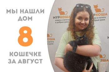 Трёхлетняя кошечка Банзи обрела дом и добрую хозяйку! 