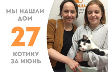 Одиннадцатимесячный котик Бао-Бао нашёл себе дружную семью! 