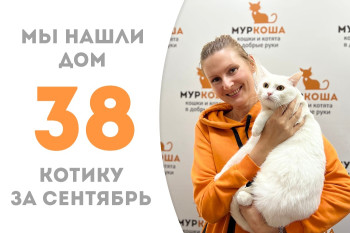 Котик Блинкин встретил добрую хозяйку и покинул приют! 