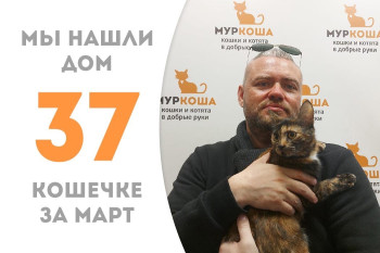 Котёнок Бонаси стала домашней за два месяца!