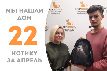 Добрейший Борискин обрёл своё счастье!