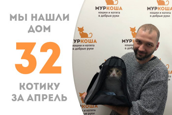 Двухлетний Бубби обрёл своё счастье! 