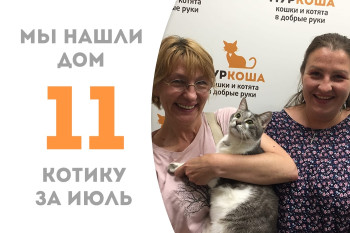 Котик Бурбон утарахтел в домашнюю жизнь!