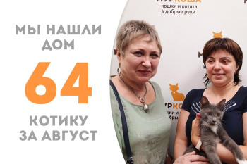 Ровно месяц понадобился трёхмесячному котёнку Царапычу, чтобы обрести домашнее счастье! 