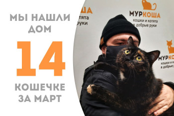 Кошечка Церера стала домашней любимицей!