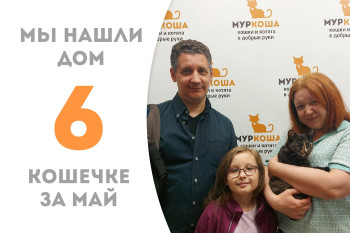 Пятимесячная Черноголовка менее чем за месяц нашла себе семью! 