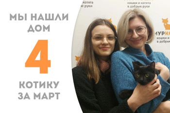 Котёнок Чокобон встретил заботливую семью!