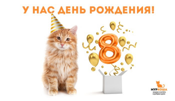"Муркоше" 8 лет!