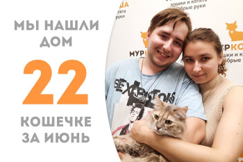 Четырёхлетняя кошечка Дракоша стала домашней и счастливой! 