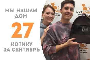 Годовалый котик Дракс встретил замечательных хозяев и отправился домой!
