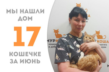 Кошечка Дульсинья нашла себе семью менее чем за два месяца! 
