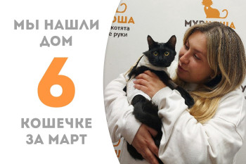 Очаровательная кошечка Душица отправилась домой!