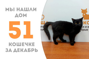 Семимесячная красавица Эфочка уехала в семью к нашим выпускникам!