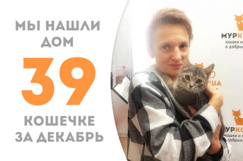 Малышка Экли обрела своего человека, пробыв два месяца в приюте!