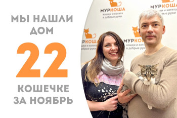 Малышка Эльфрида, проведя в приюте около трёх месяцев, стала домашней любимицей! 