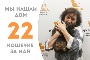 Кошечка Елизавета стала домашней за два месяца! 