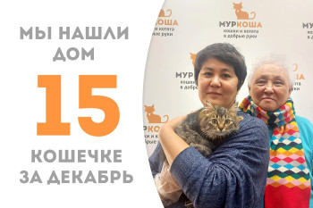 Малышка Энрайт стала домашней спустя полтора месяца пребывания в приюте! 
