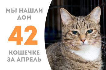 Кошечка Эстефания встретила своего человека! 