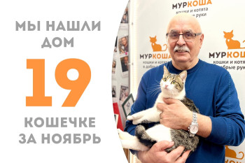 Кошечке Эсти понадобилось три месяца, чтобы устроить свою домашнюю жизнь!