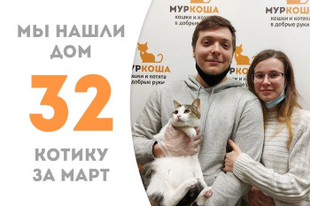 Кот Эверест начинает новую жизнь!
