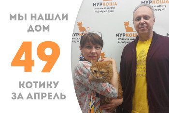 Мы нашли замечательную семью для обаятельного Фан-Фана! 