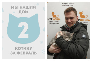 Котик Арно встретил заботливого друга!