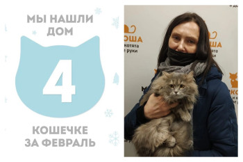 Через два месяца кошечка Дельфина встретила свою хозяйку!