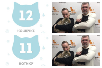 Трейни, Трейли и Зиля начинают новую жизнь!