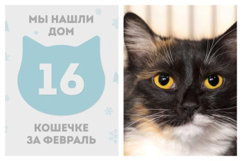 У кошечки Юстины теперь есть дом и семья!