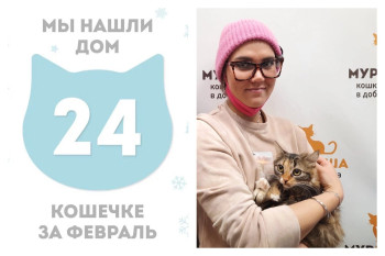 Кошечка Асоли встретила заботливых хозяев!