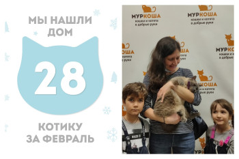 Голубоглазый Тимоникс начинает новую жизнь!