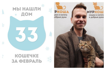 Кошечка Лукреция стала домашней любимицей!